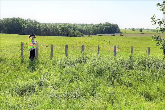 Figure 3. Maitland Conservation Employee Verifying Mapped Information.